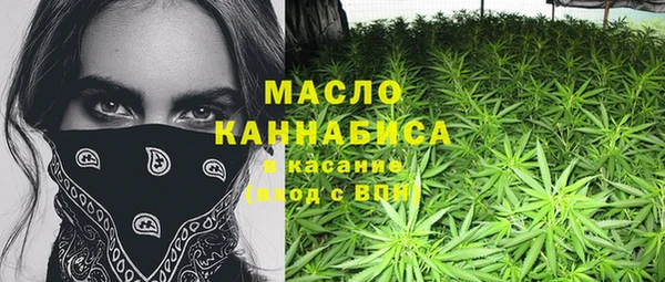 соль ск Кулебаки